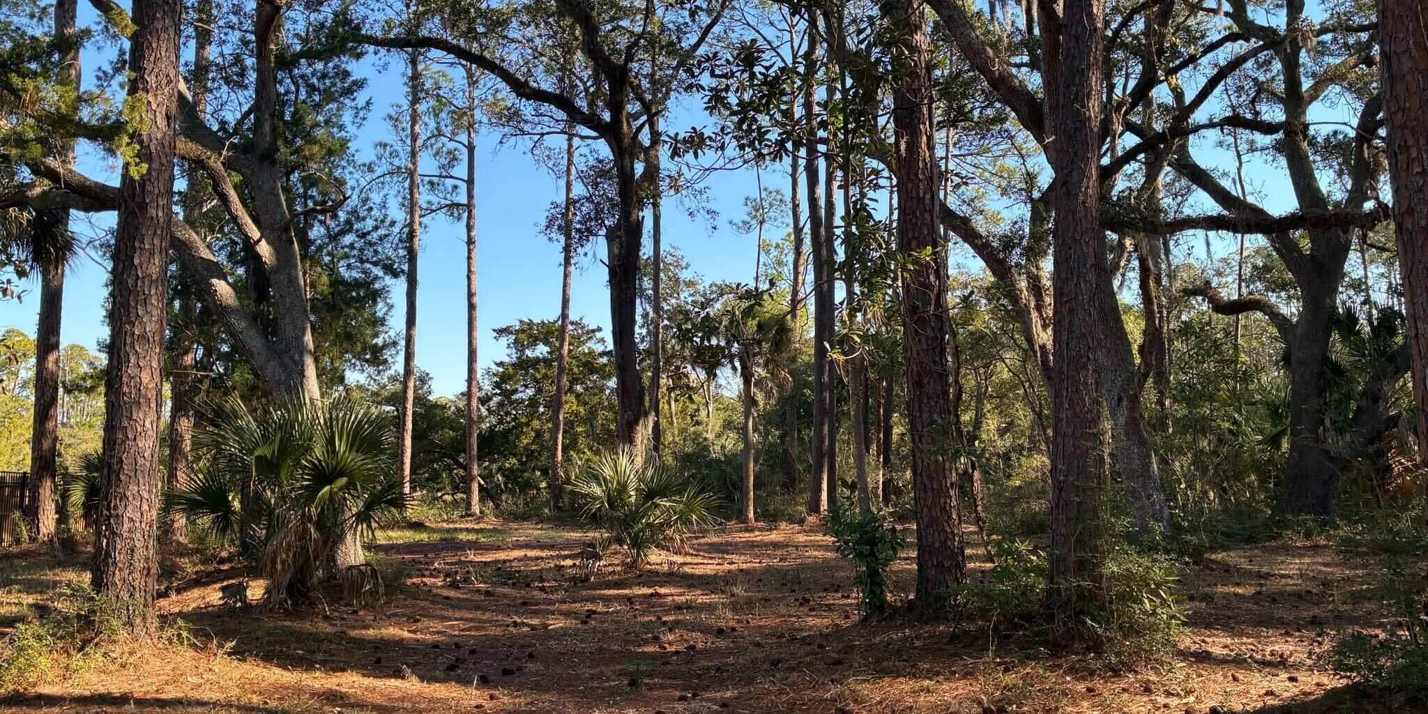 Piney Island Viewshed Property